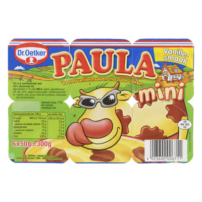 Dr. Oetker Paula mini vanille met choco vlekken