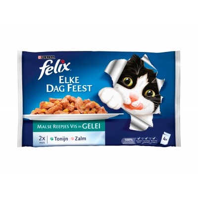 Felix Malse reepjes met vis in gelei