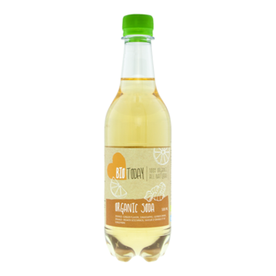 Bio Today Fris sinaasappel gember organic bio