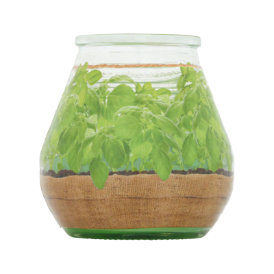 Bolsius Citronella Garden with Basil
