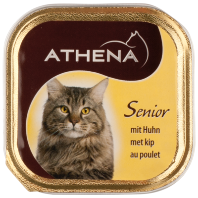 Athena Kattenvoer senior, kip