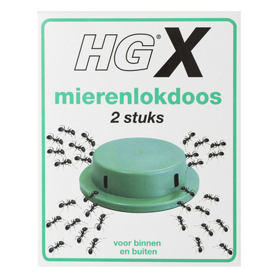 HG X Mierenlokdoos