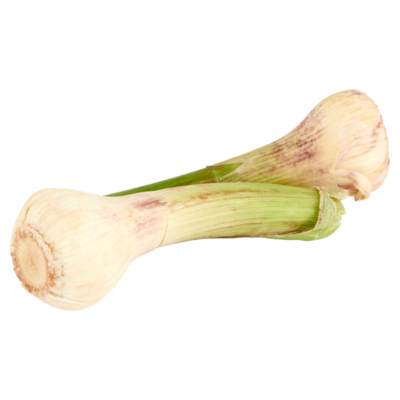 Jumbo Verse Knoflook 2 Stuks