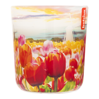 Bolsius Geurglas tulp