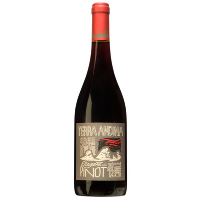 Terra Andina Pinot Noir