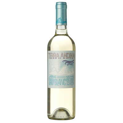 Terra Andina Sauvignon Blanc