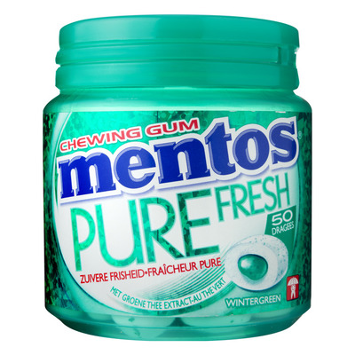 Mentos Gum Bottle pure fresh wintergreen