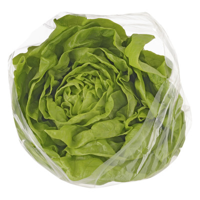 Bloemkool