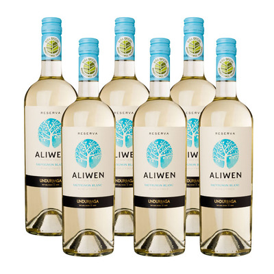 Aliwen 6x Sauvignon Blanc Reserva