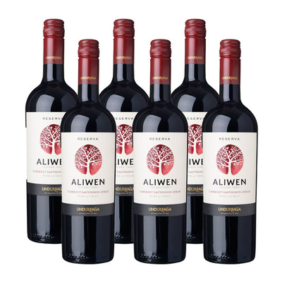 Aliwen 6x Cabernet Sauvignon Syrah Reserva