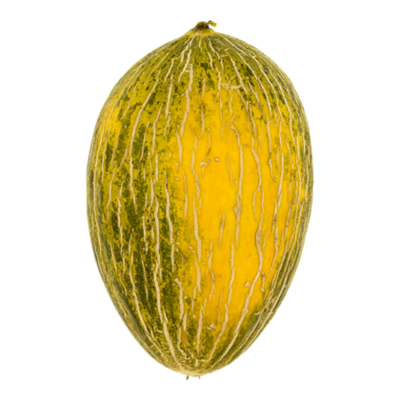 Huismerk Meloen Mellissimo (Piel de Sapo)