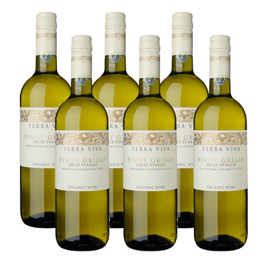 Terra Viva 6 x Organic Pinot Grigio