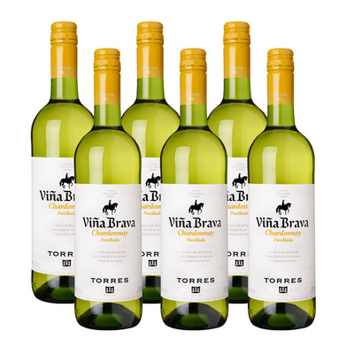 Torres 6 x Viña Brava Chardonnay Parellada