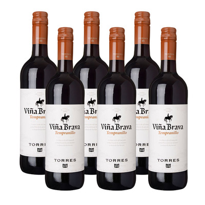 Torres 6 x Viña Brava Tempranillo