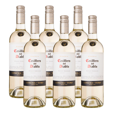 Casillero del Diablo 6 x Pinot Grigio