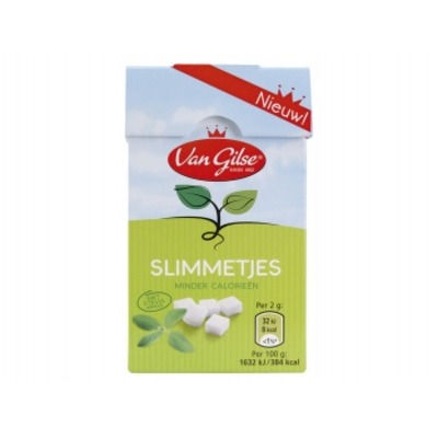 Van Gilse Slimmetjes
