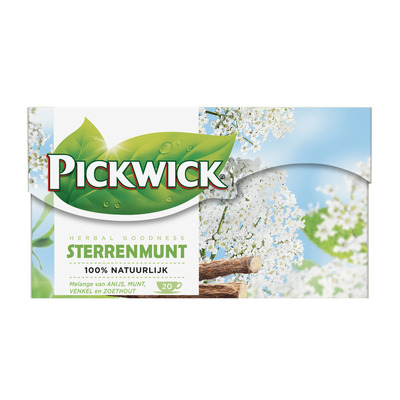 Pickwick Sterrenmunt kruidenthee
