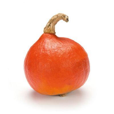 Biologische Pompoen