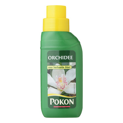 Pokon Huis orchidee
