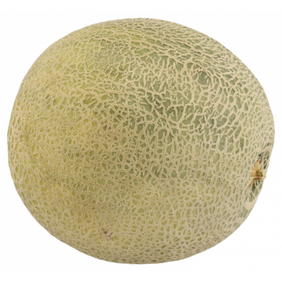 Cantaloupe Meloen