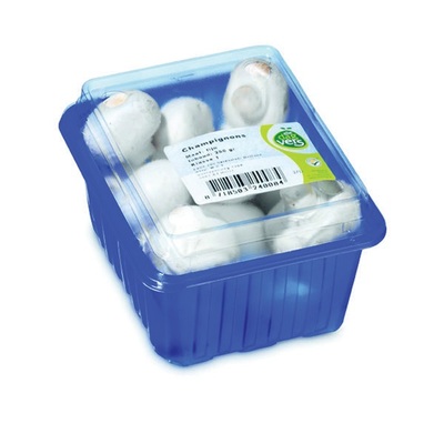 champignons