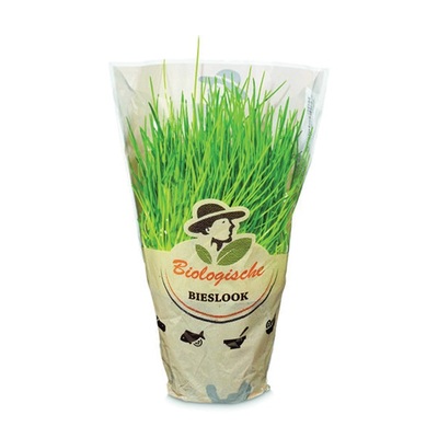 bieslook pot