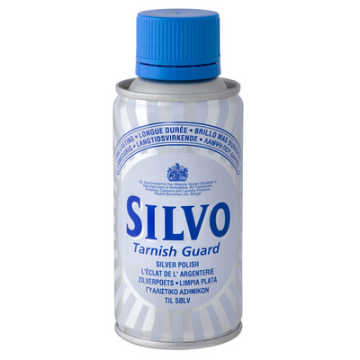 Silvo Zilverpoets