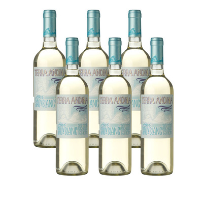 Terra Andina Sauvignon Blanc