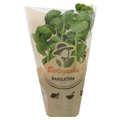 Mijn Keukentuintje Basilicum Biologisch