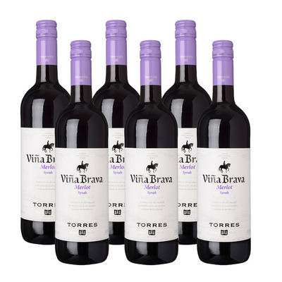 Torres 6 x Viña Brava Merlot Syrah