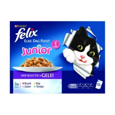 Felix Elke dag feest junior
