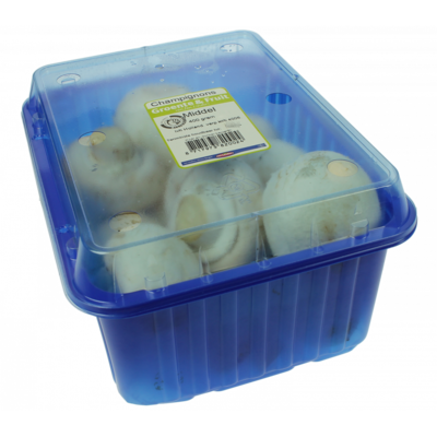 Champignons middel