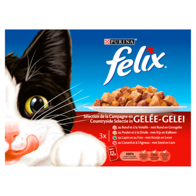 Felix Pouch vleesselectie 12x 100 gram