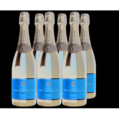 Cava Gran Espanoso Brut 6x 75 cl.