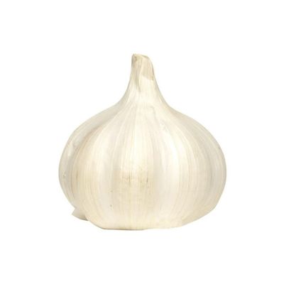Knoflook Per Stuk