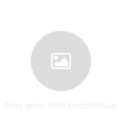 Fruity King Smoothie Groenten Spinazie Kiwi Banaan Appel 250 Ml