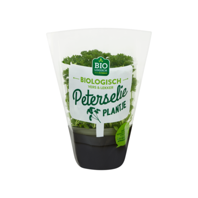 Jumbo Biologisch Peterselie Plantje
