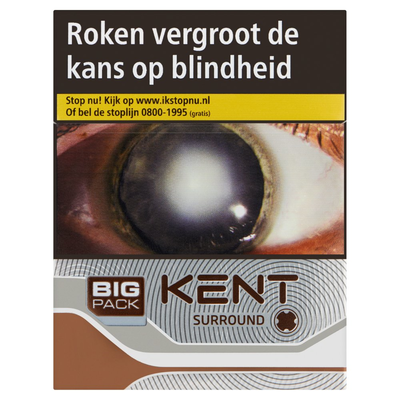 Kent Surround XL Silver 20 Stuks