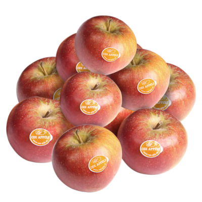 GIJS Handappels Cox' orange gelegd los