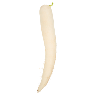 Poiesz Rettich