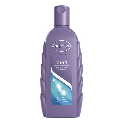 Andrélon Shampoo 2 in 1