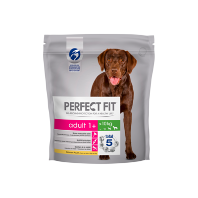 Perfect Fit Adult 1+