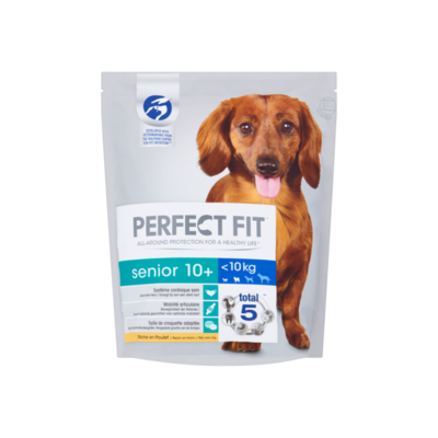 Perfect Fit Senior 10+
