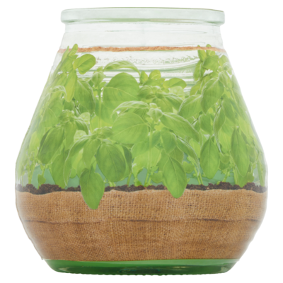 Bolsius Citronella Garden with Basil