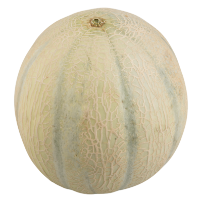 Cantaloupe meloen met streep