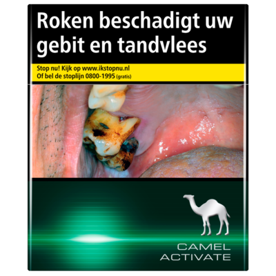 Camel Activate green