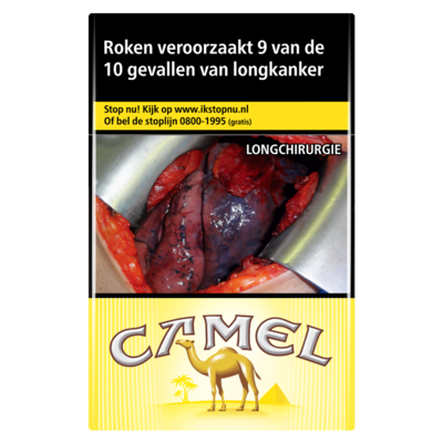 Camel Regular