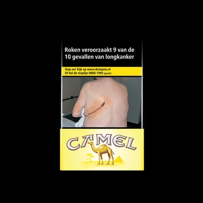 Camel sigaretten regular 20 stuks