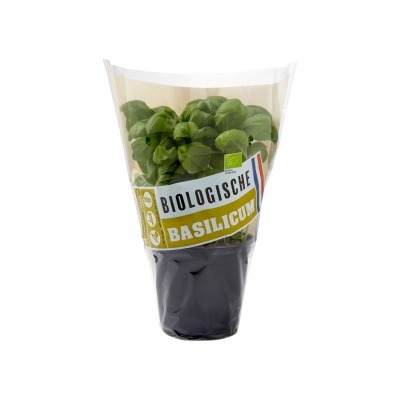 Huismerk Biologische basilicum