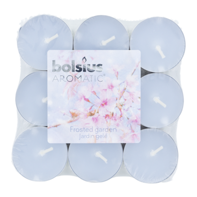 Bolsius Geurtheelicht brick 18 Frosted Garden